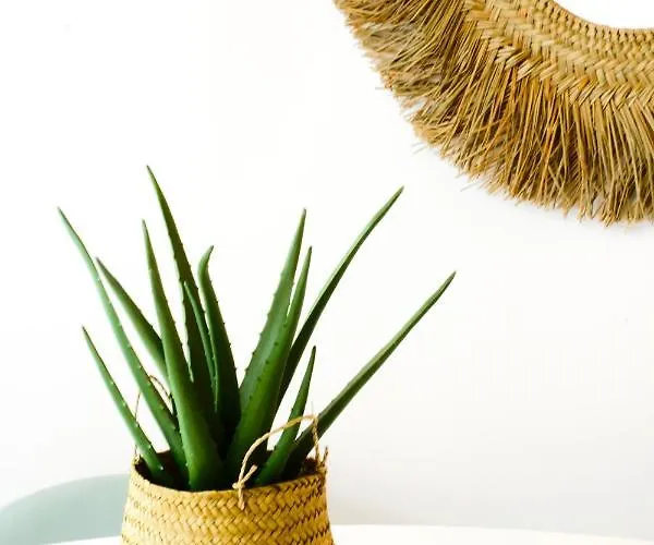 Sunset Retreat 1a Linha De Mar 아파트 몬뜨고르두