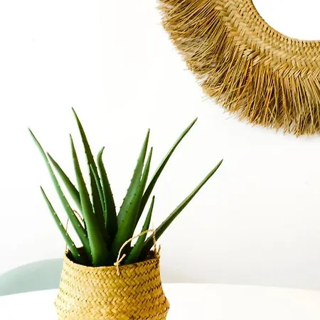 Sunset Retreat 1a Linha De Mar Διαμέρισμα Μόντε Γκόρντο