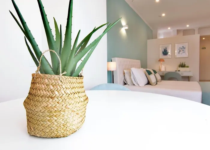 Sunset Retreat 1a Linha De Mar 公寓 蒙蒂戈杜
